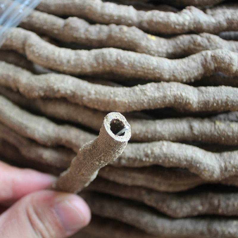 100cm Terrarium Reptile Jungle Vines Flexible Bendable Jungle Climber Reptile Pet Supplies Reptiles Terrarium Decor Accessories