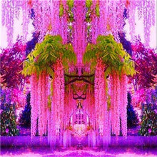 Load image into Gallery viewer, 5pcs Hot Sale Outdoor Bonsai Wisteria Rare Flower DIY Home Garden Ornamental Climb Rattan Flore