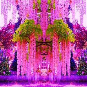 5pcs Hot Sale Outdoor Bonsai Wisteria Rare Flower DIY Home Garden Ornamental Climb Rattan Flore